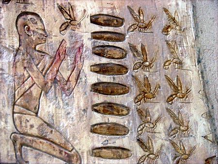 The Importance of Bees in Ancient Egyptian Funerary Rites